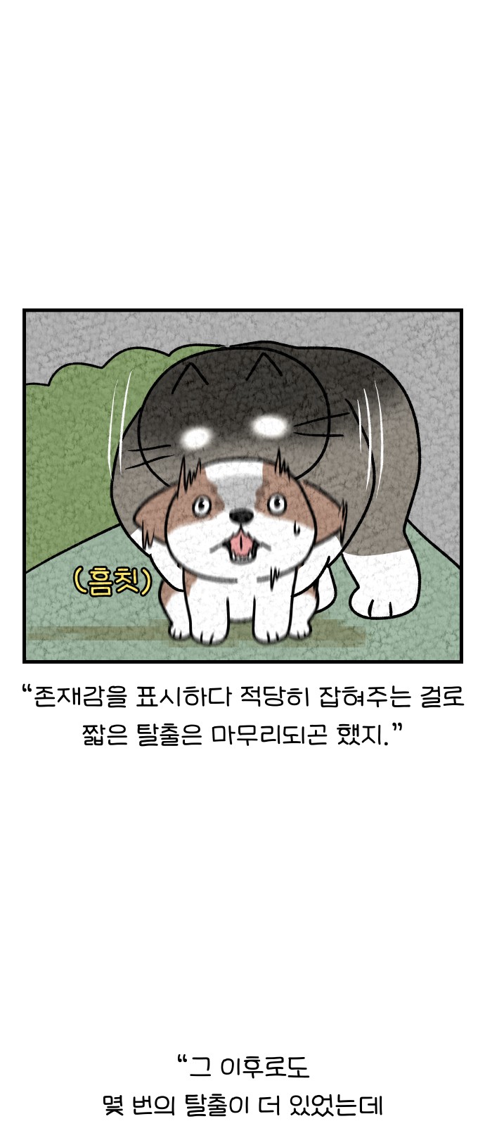 13 페이지