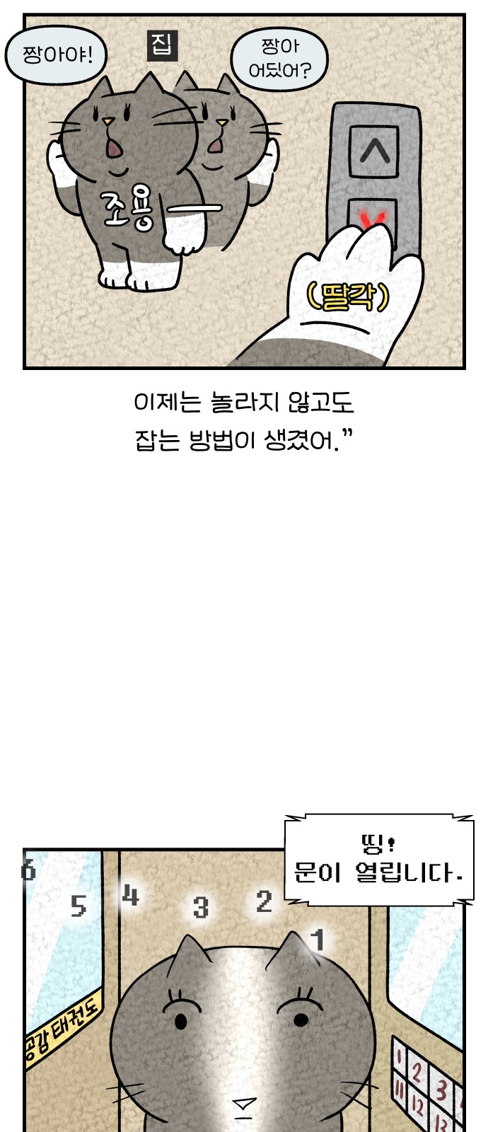 14 페이지