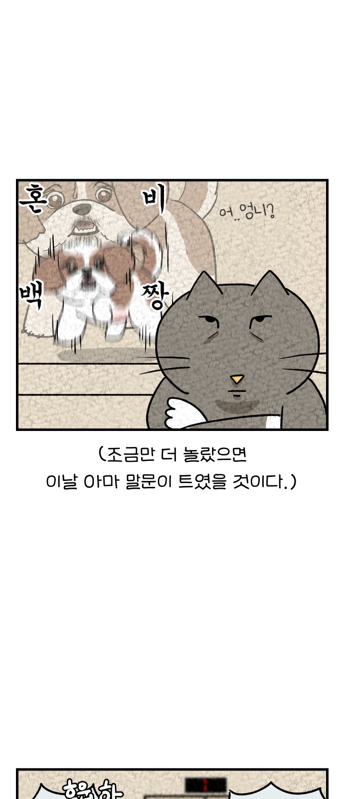 16 페이지