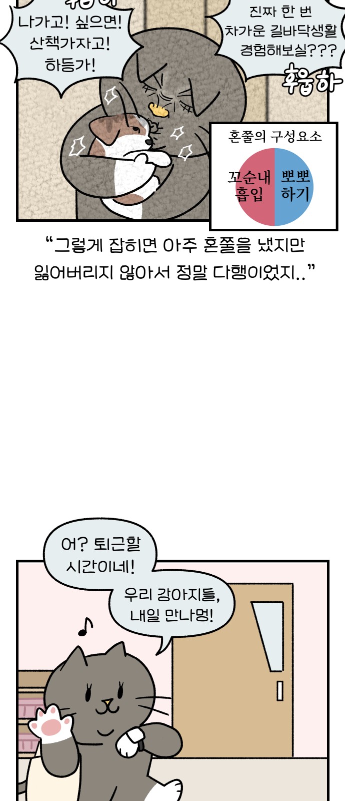 17 페이지