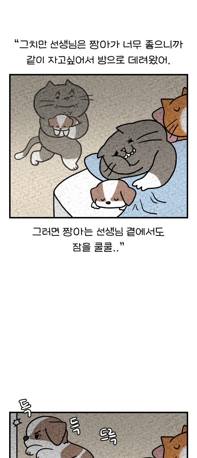 5 페이지