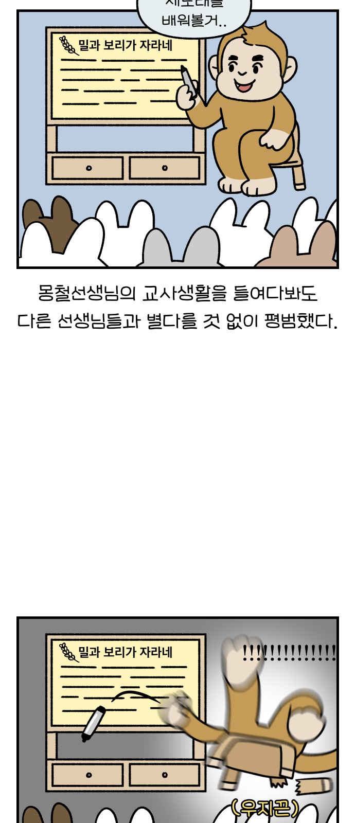 14 페이지
