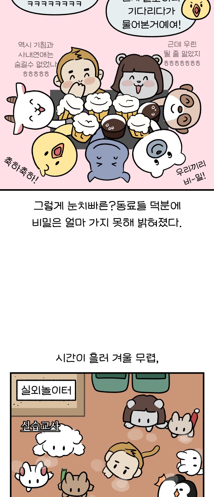 14 페이지
