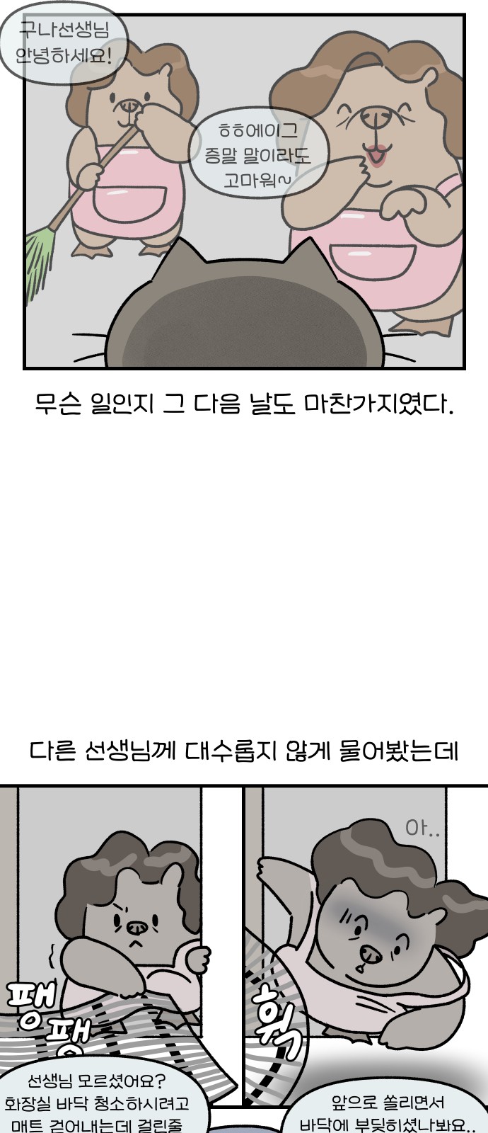 14 페이지