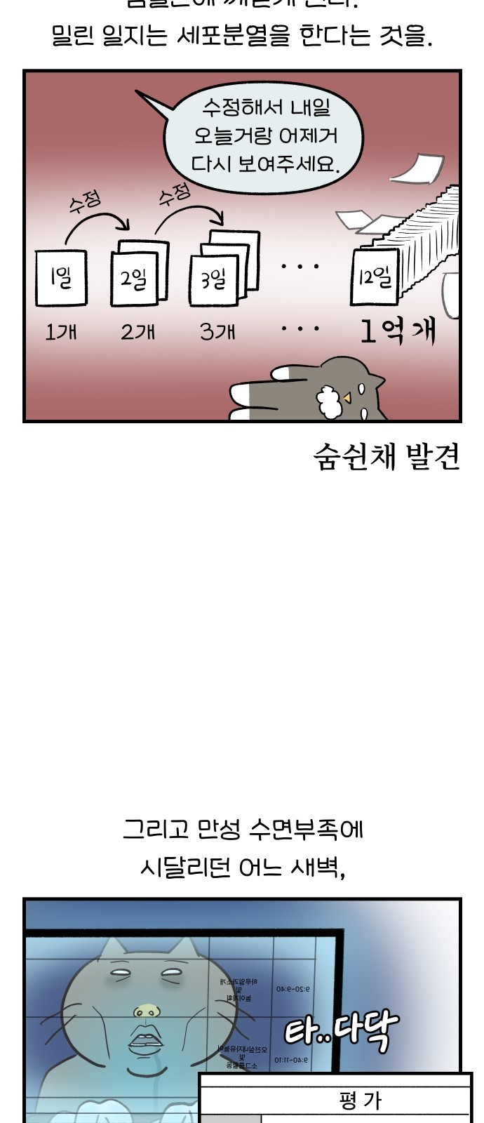11 페이지