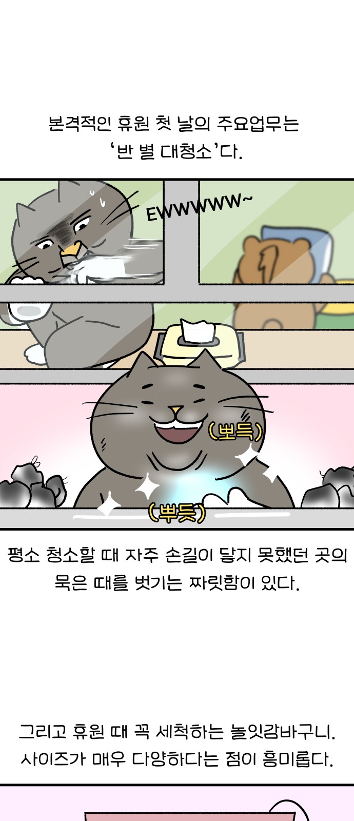 13 페이지