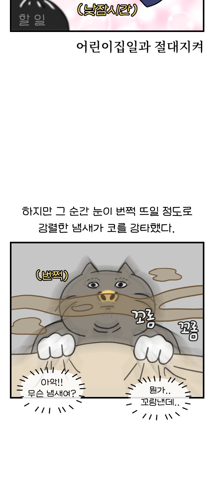 15 페이지