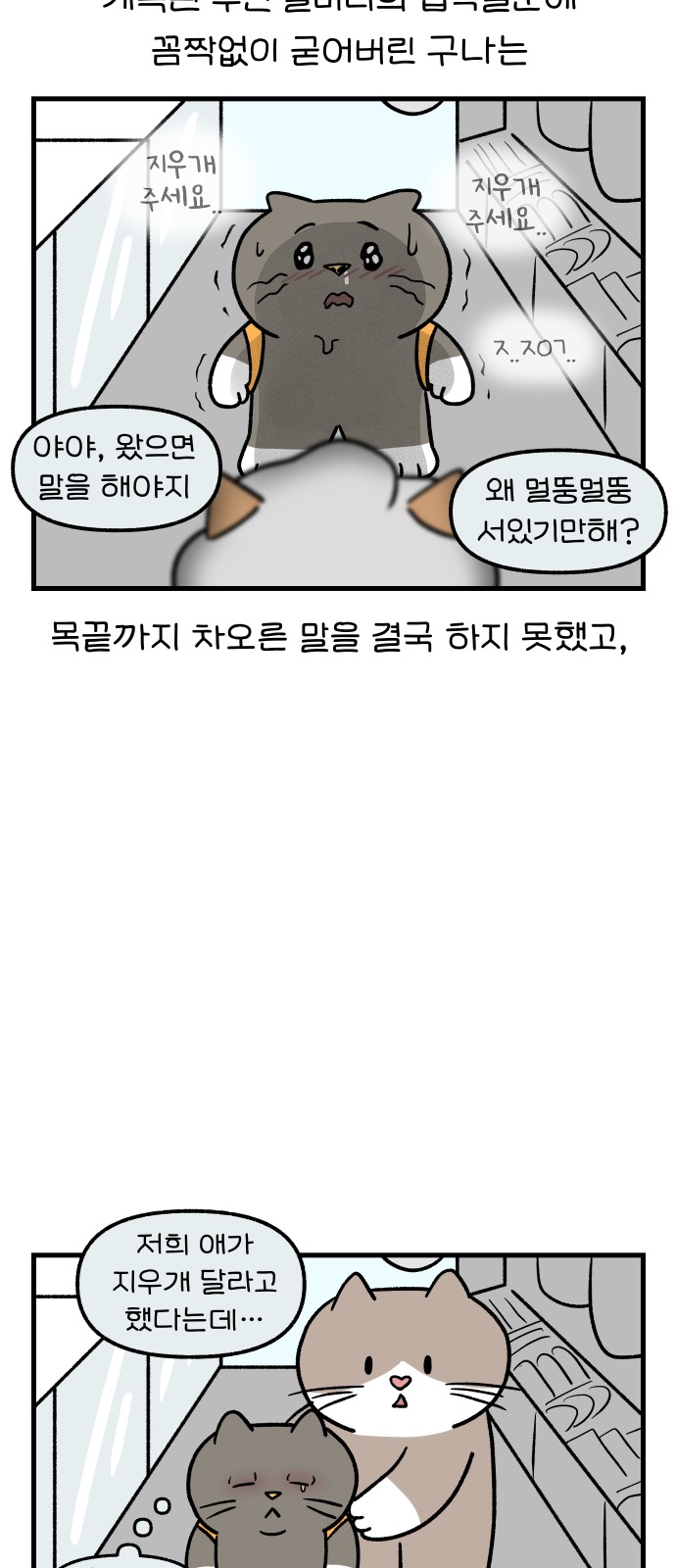 11 페이지