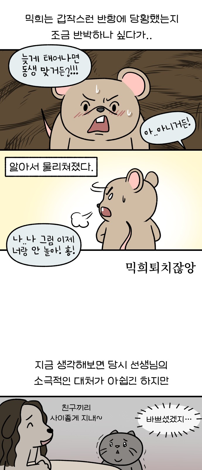 5 페이지