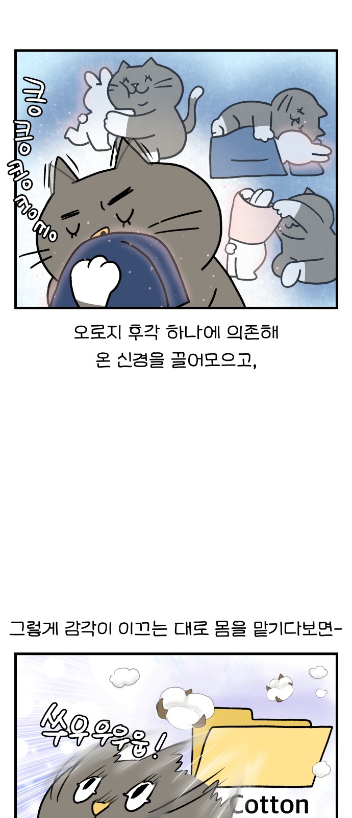 11 페이지