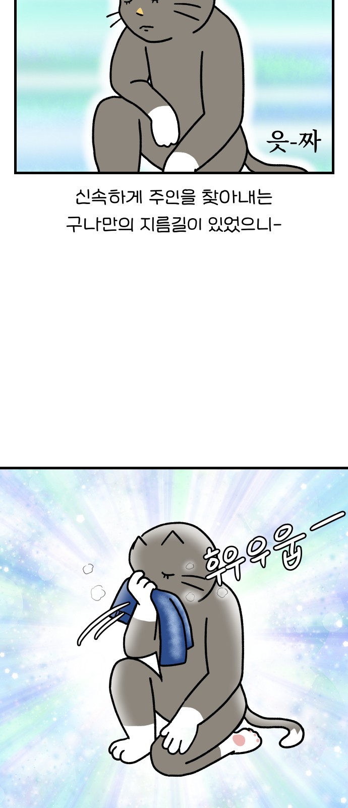 6 페이지