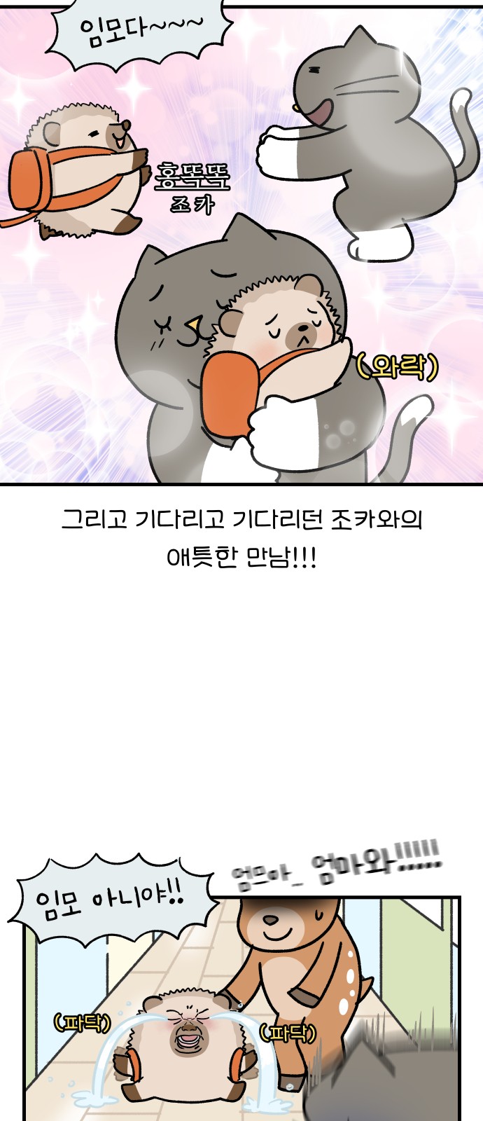 11 페이지