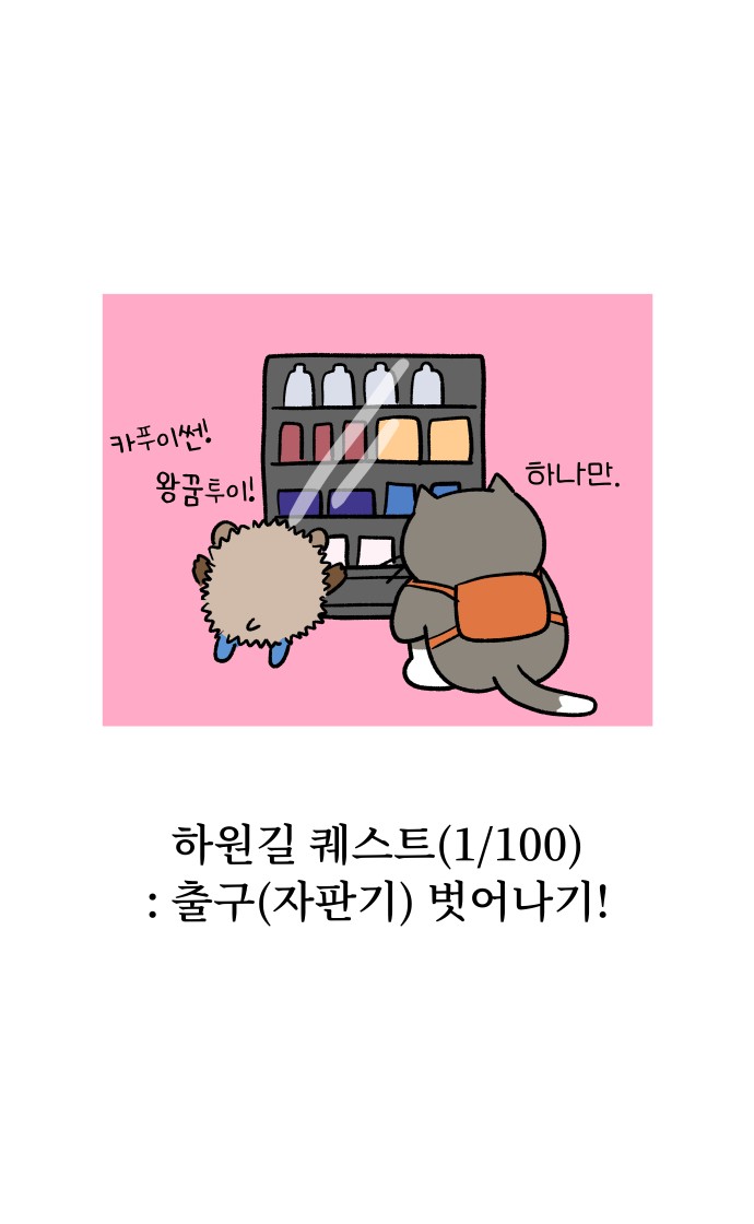 19 페이지