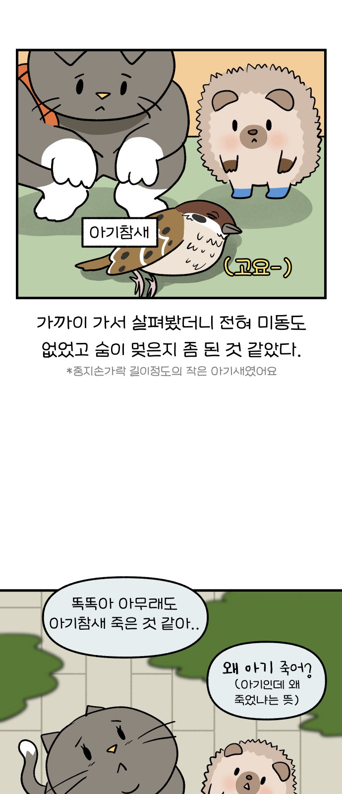 11 페이지