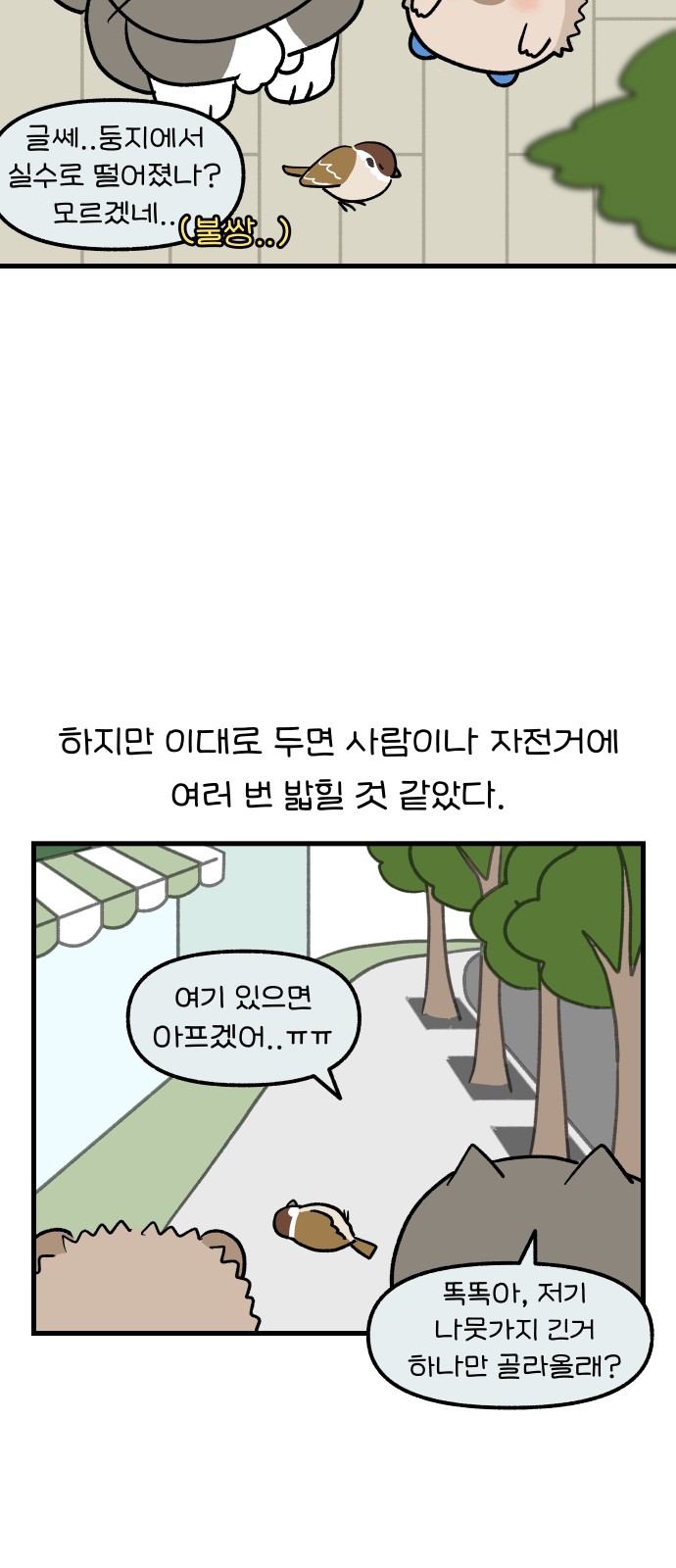 12 페이지