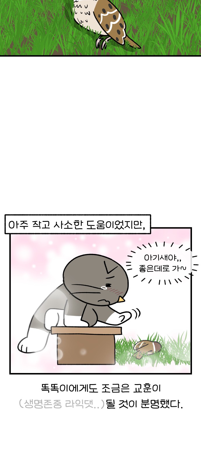 15 페이지