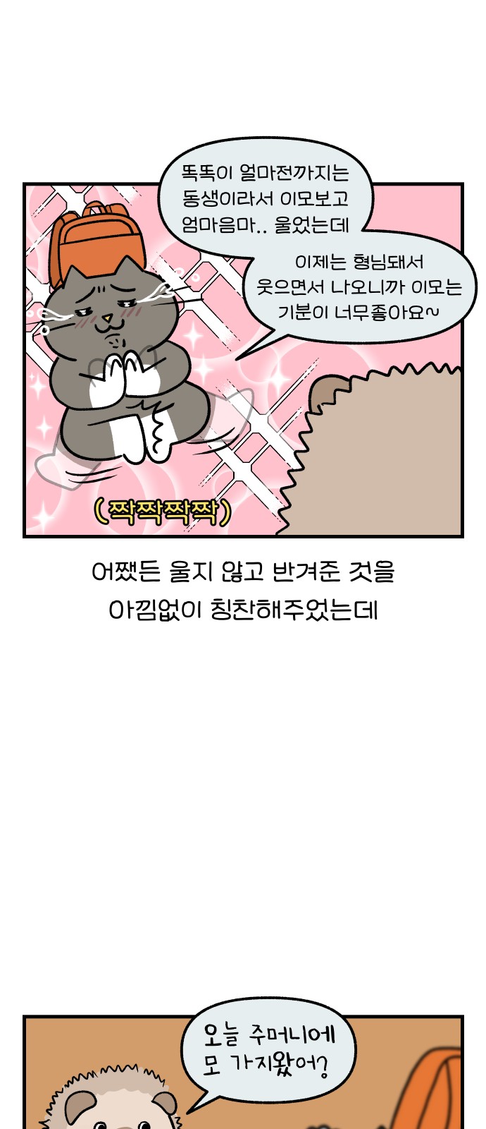 5 페이지