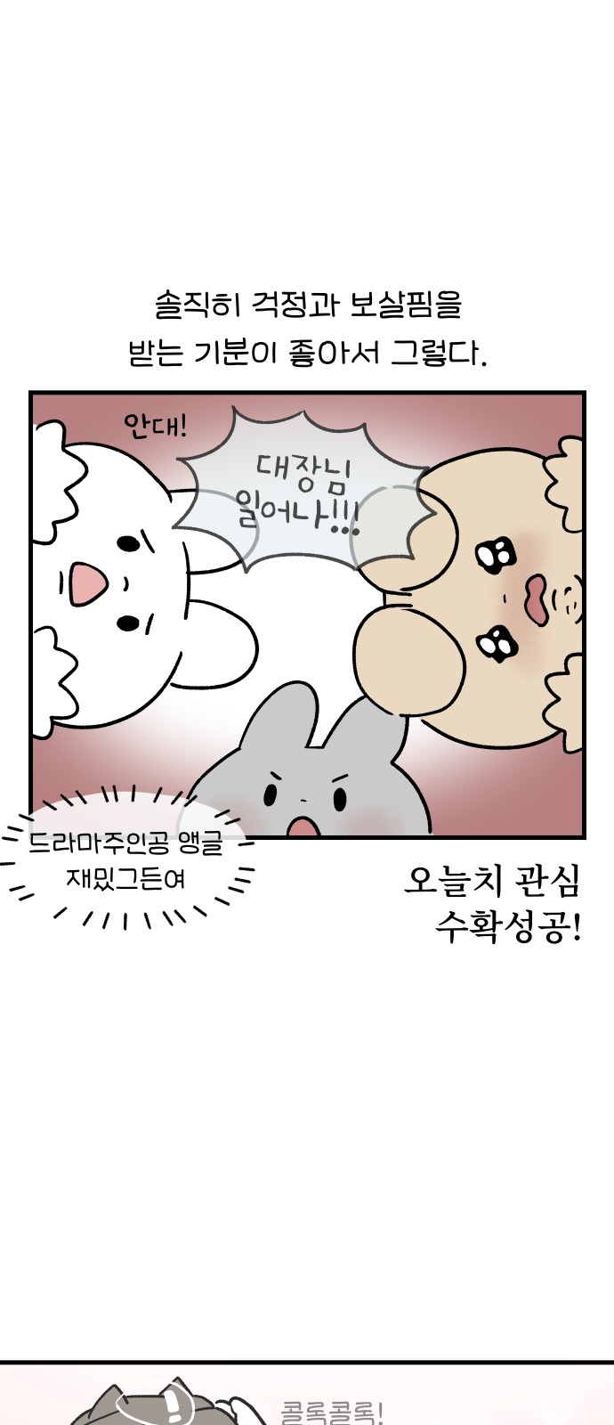 13 페이지
