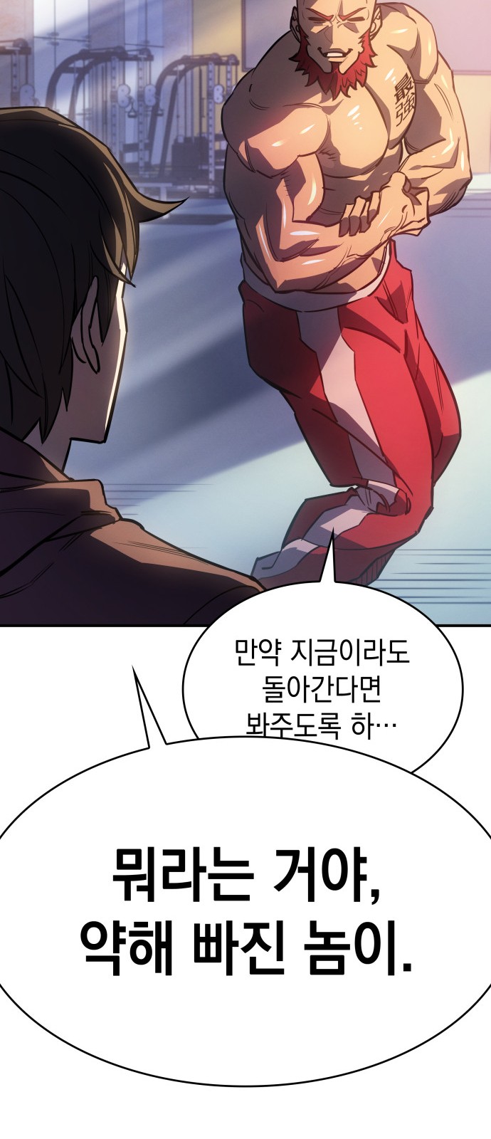46 페이지