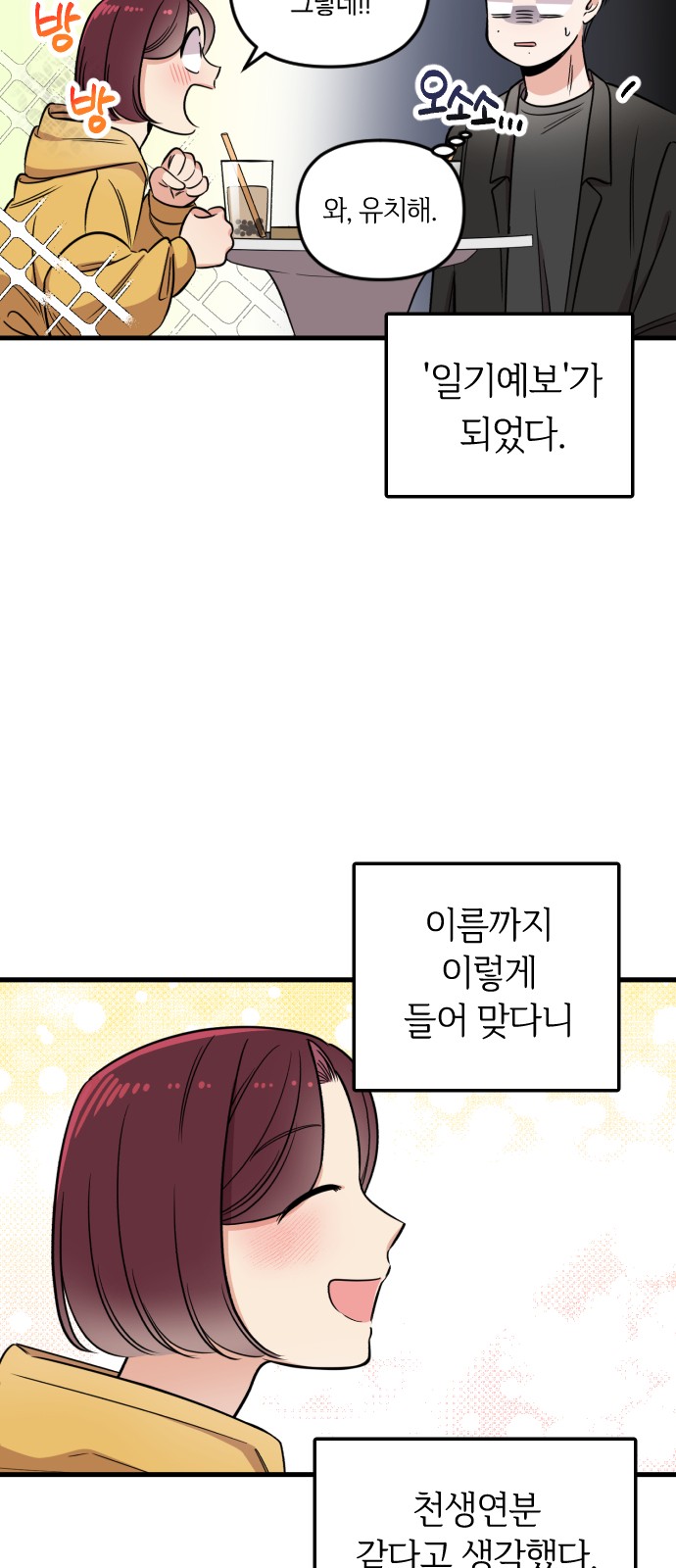 33 페이지