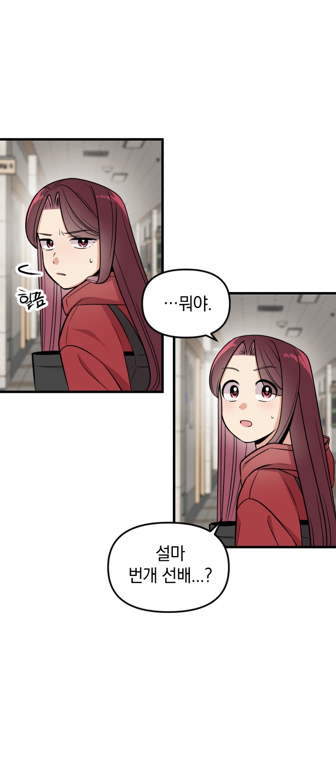 17 페이지