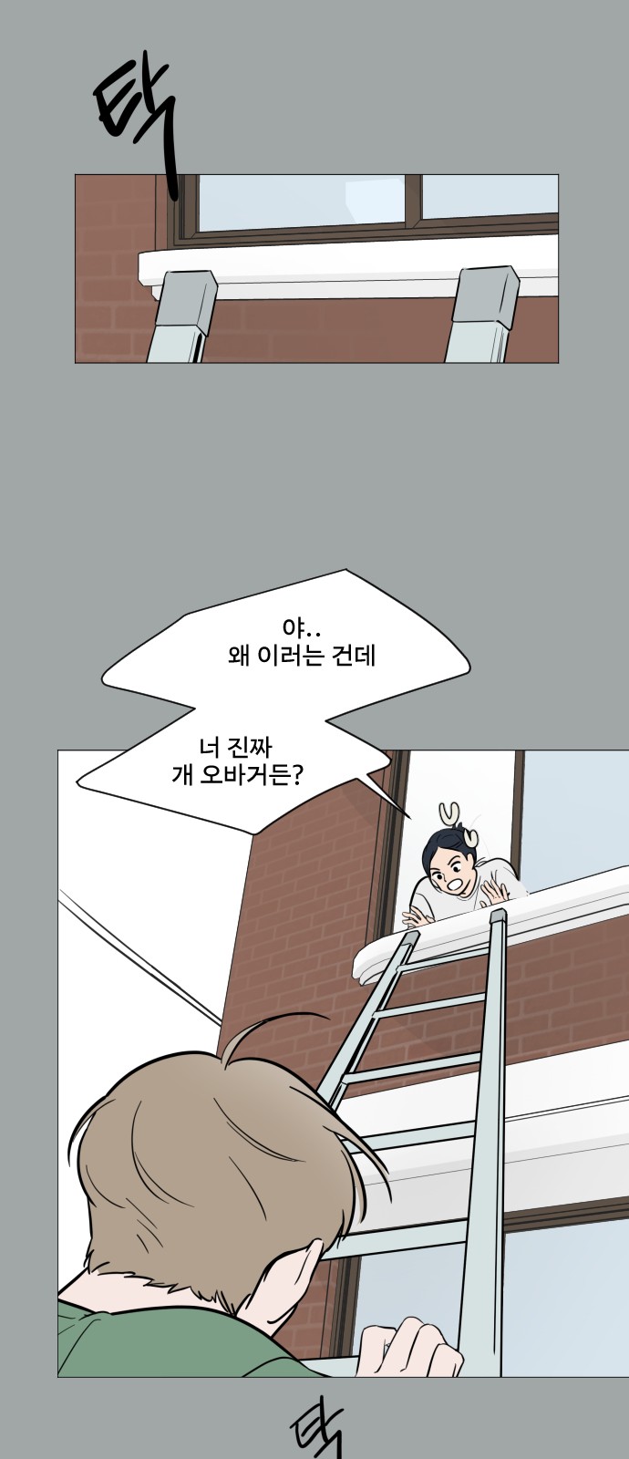 19 페이지