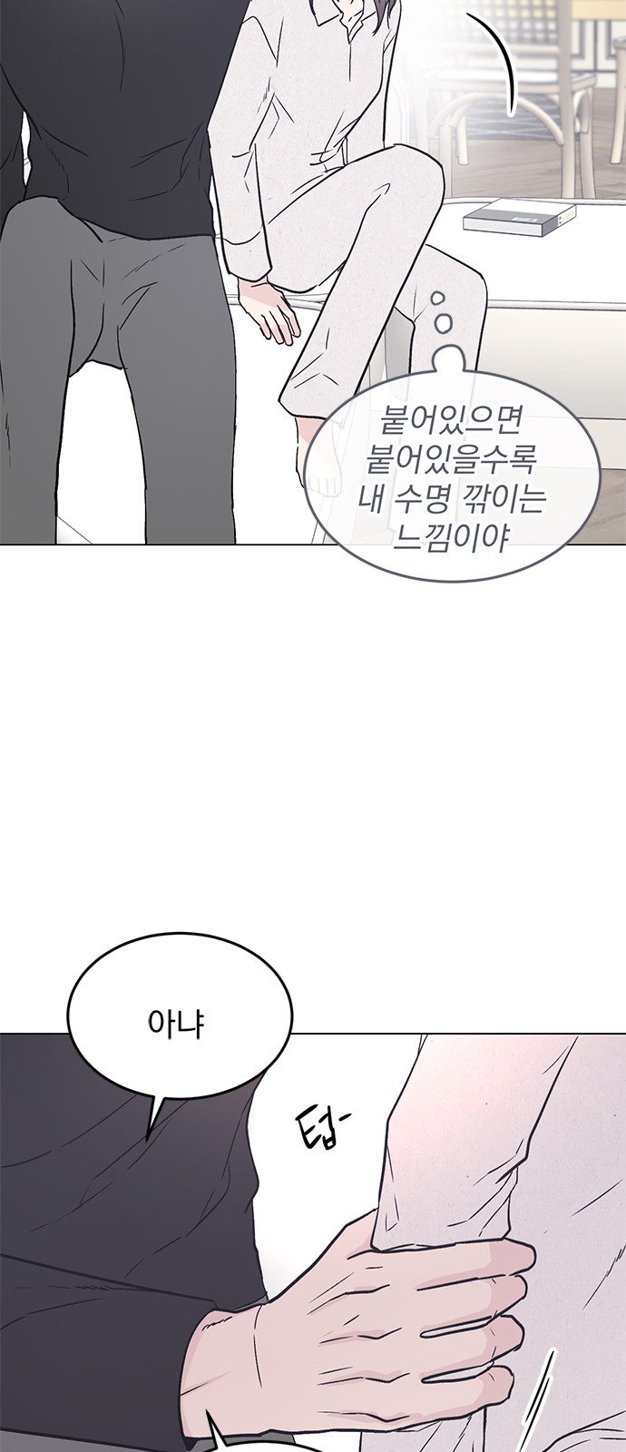 48 페이지