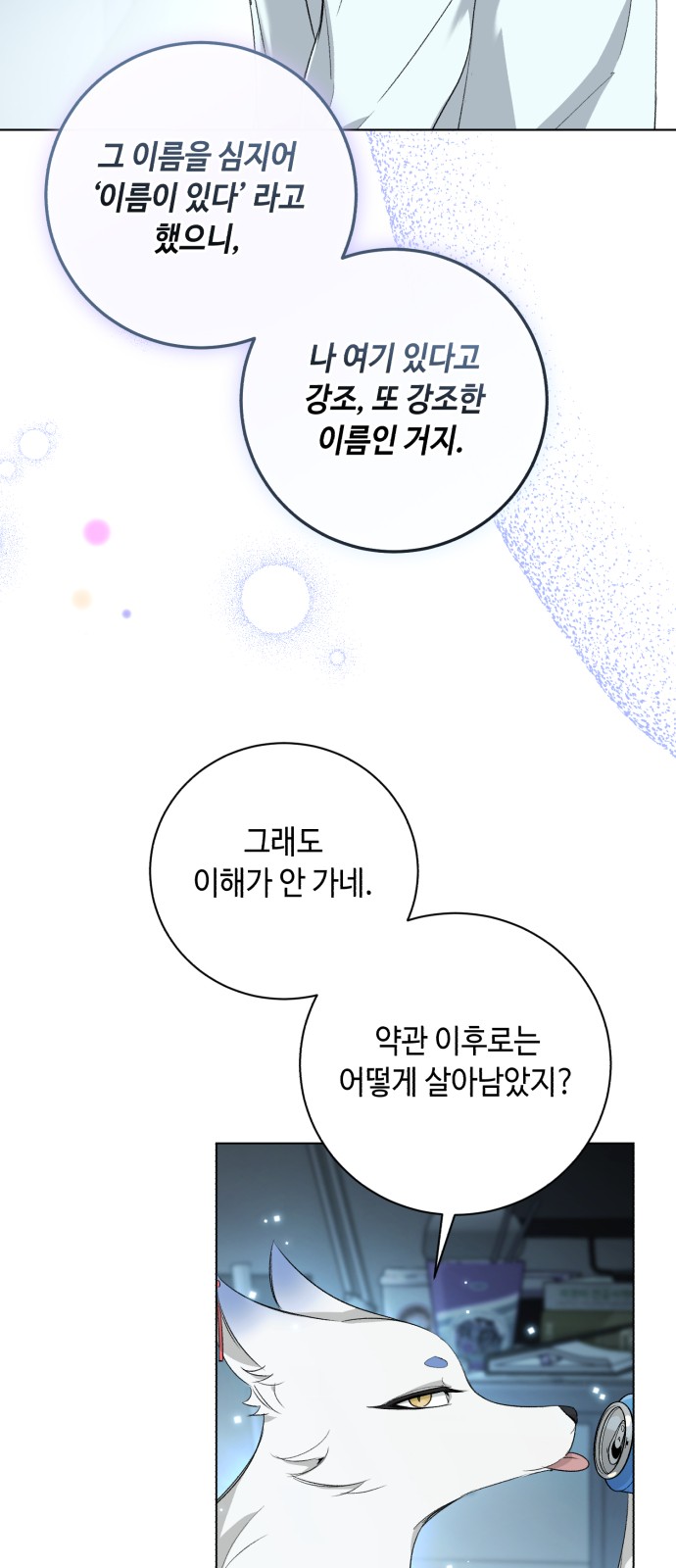 61 페이지