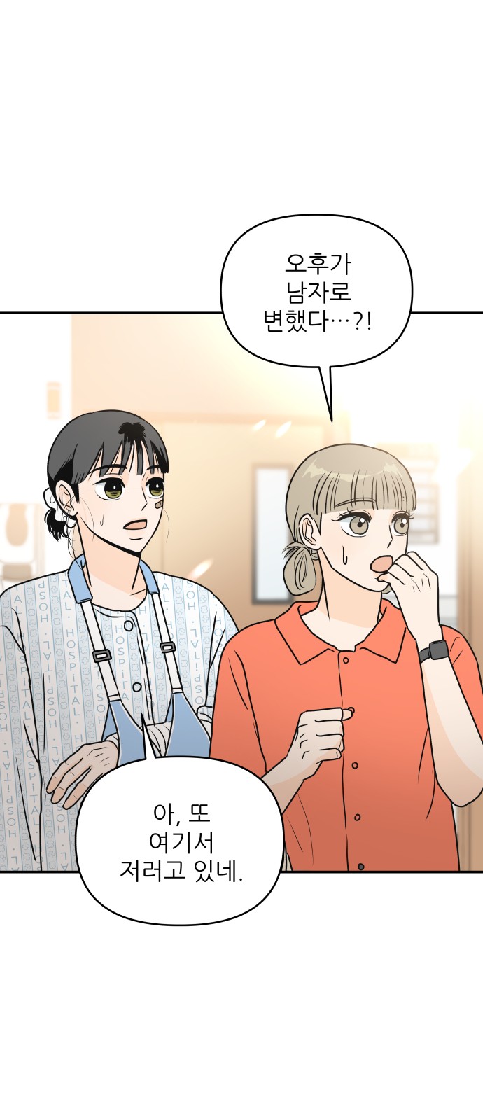 68 페이지