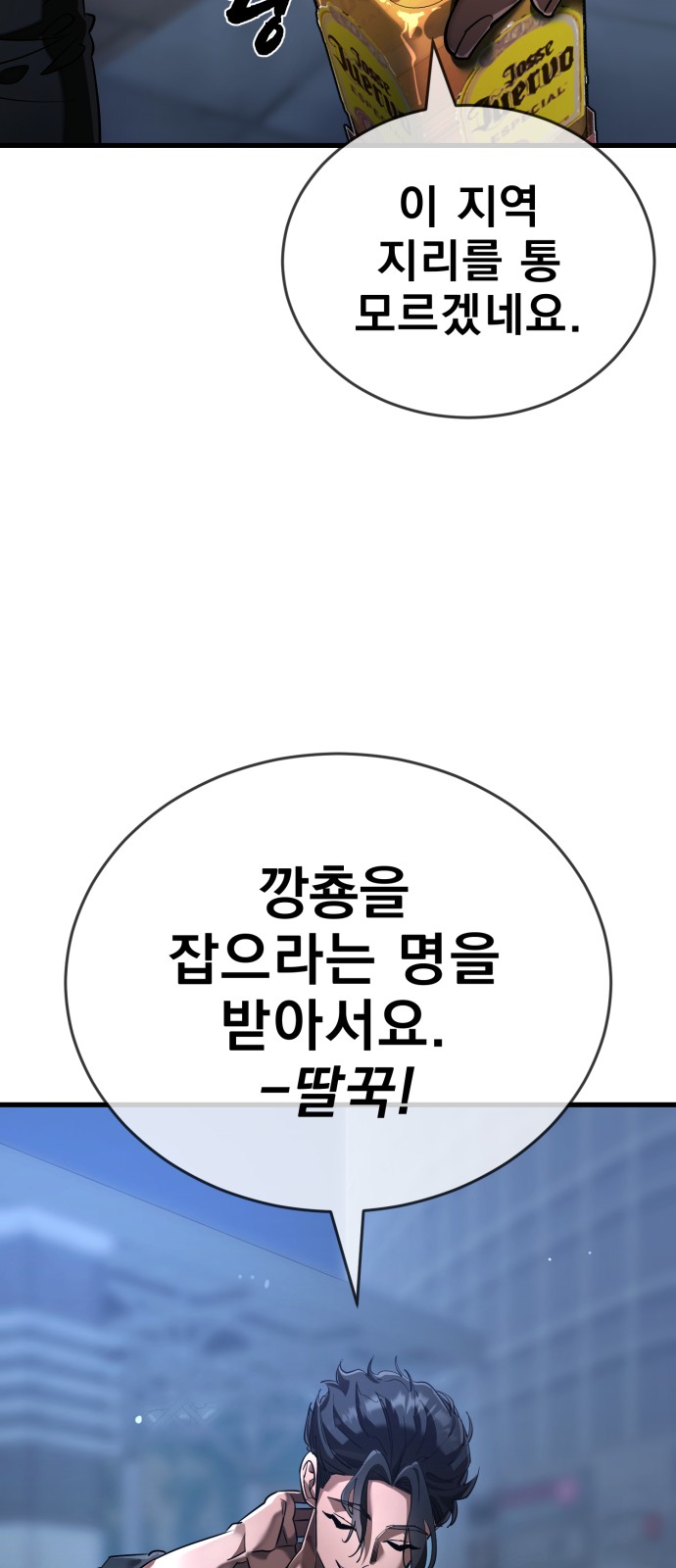 102 페이지