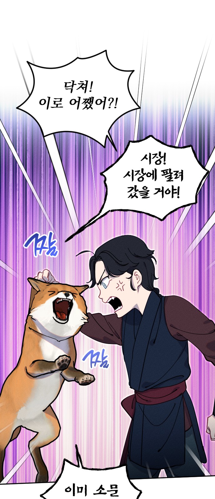 13 페이지