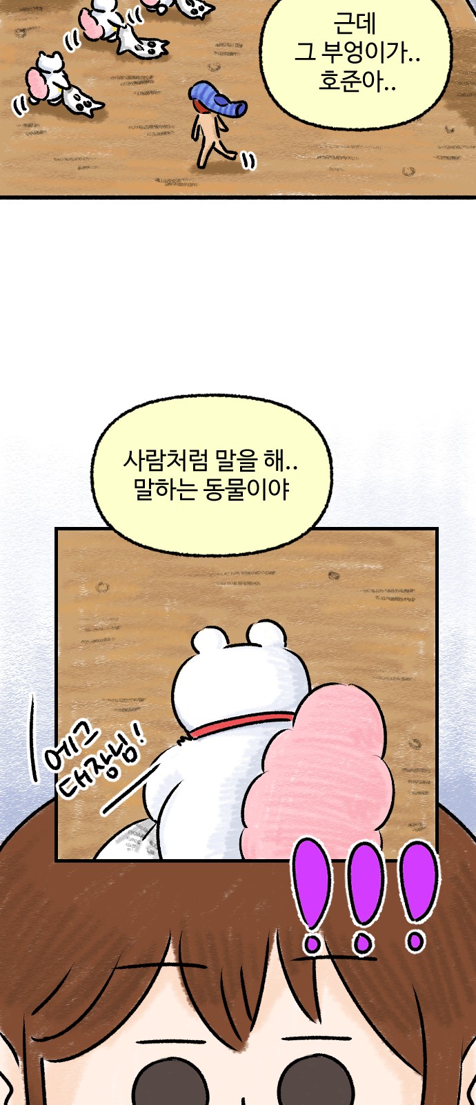 42 페이지
