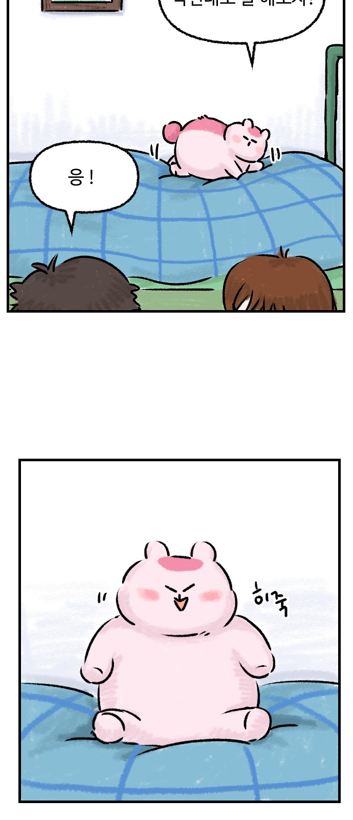 13 페이지