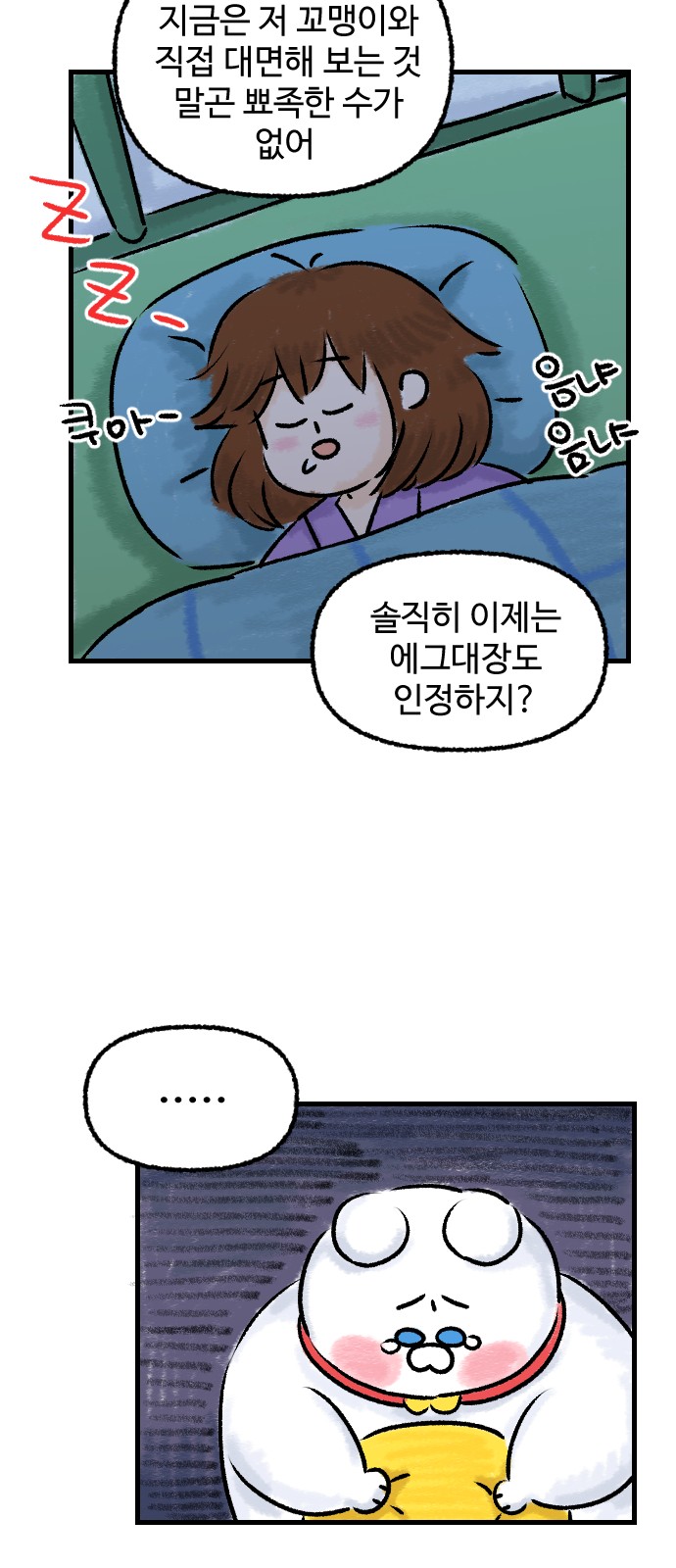43 페이지