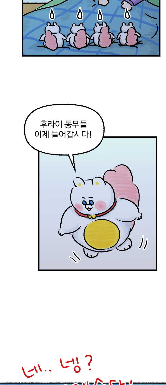 11 페이지