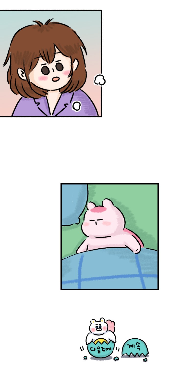 43 페이지