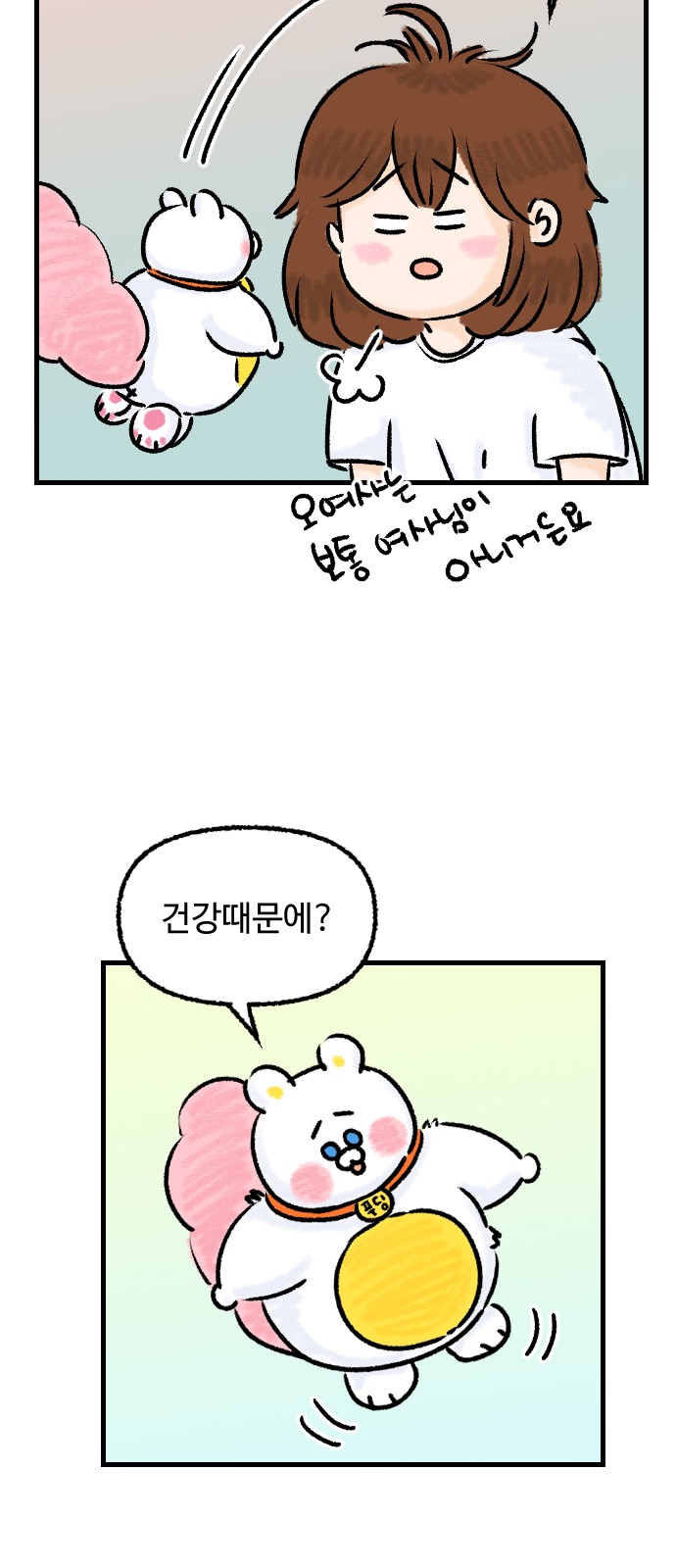 17 페이지