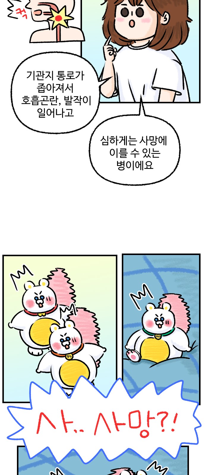 20 페이지