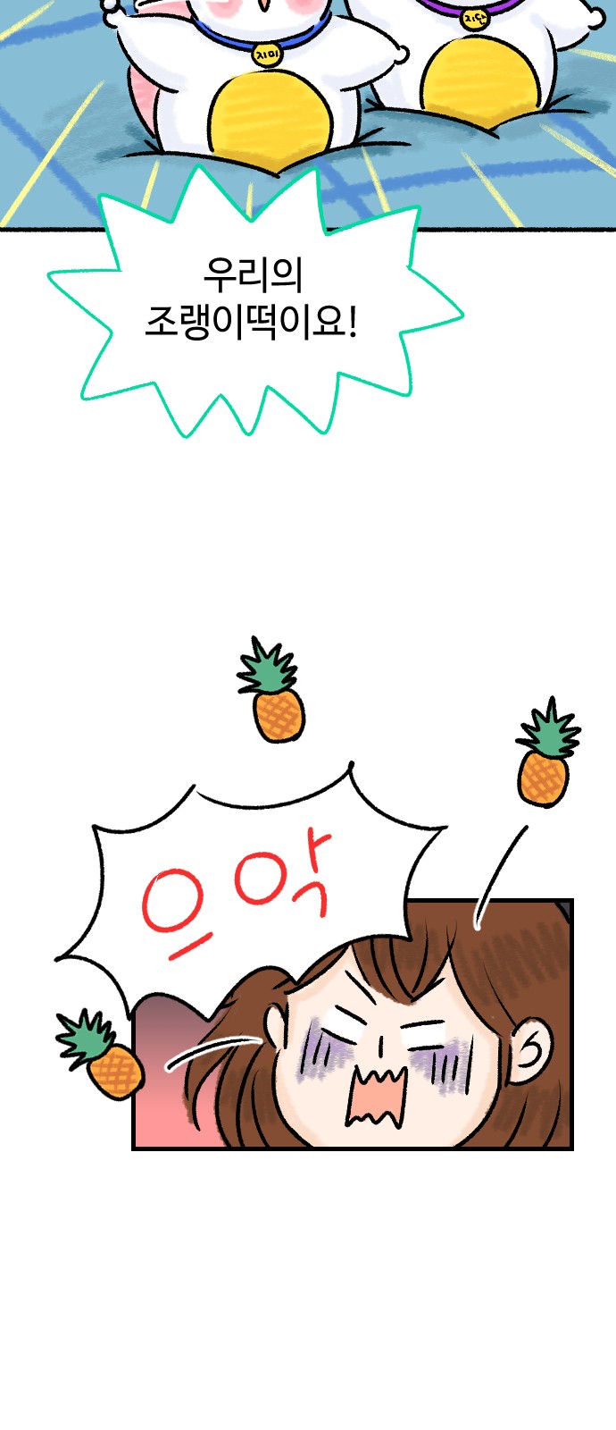 27 페이지