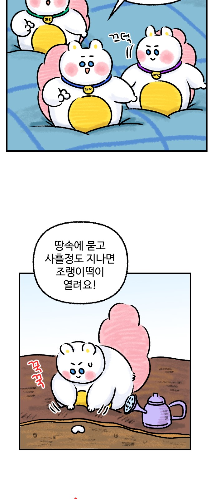 31 페이지