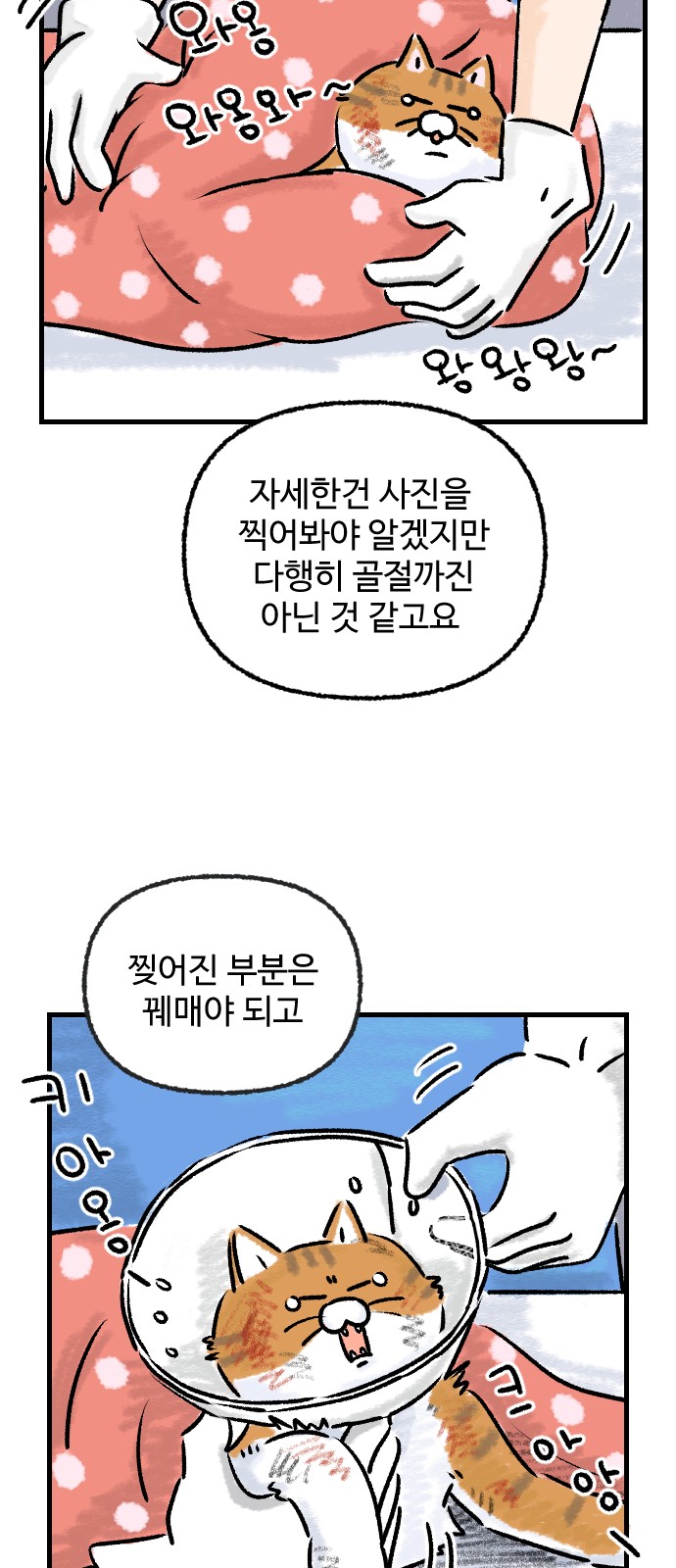 7 페이지