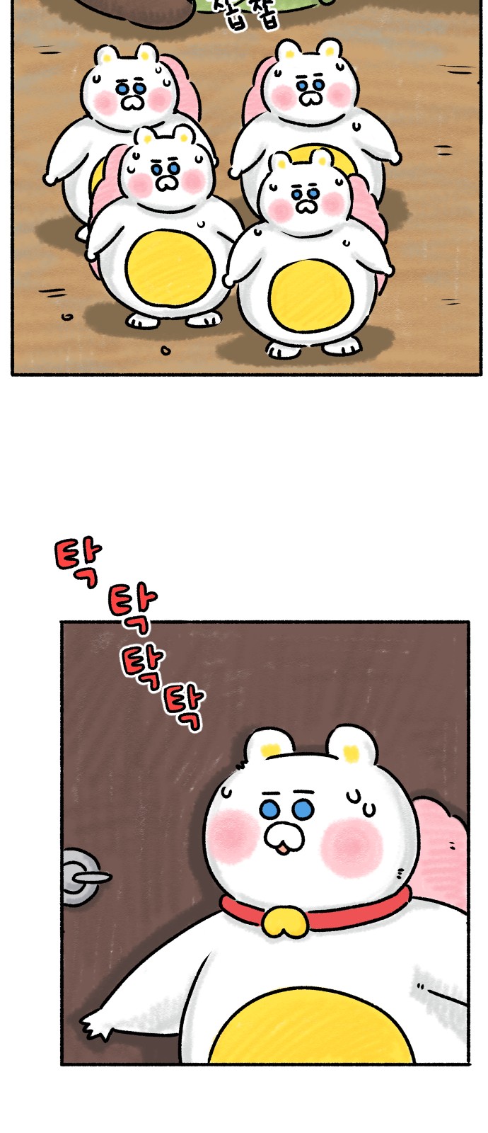 45 페이지
