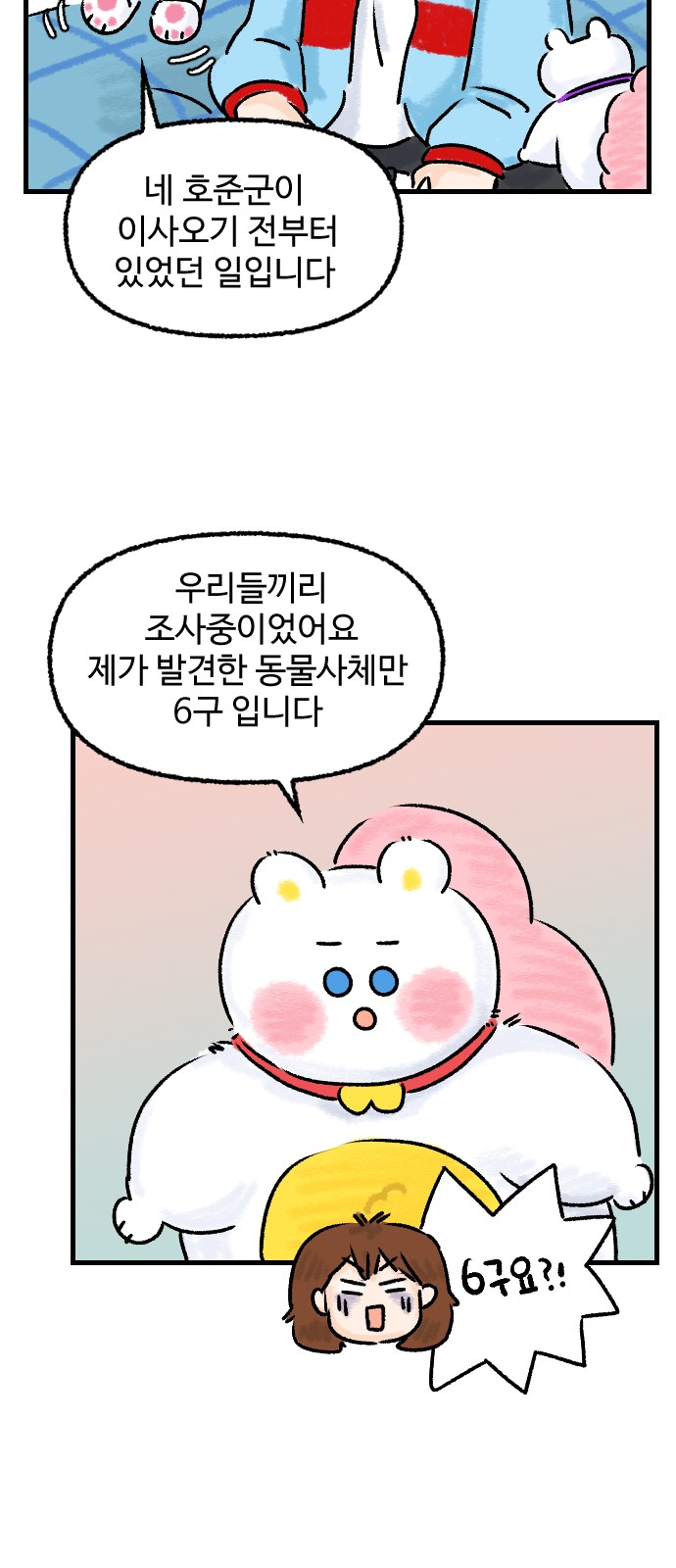 13 페이지