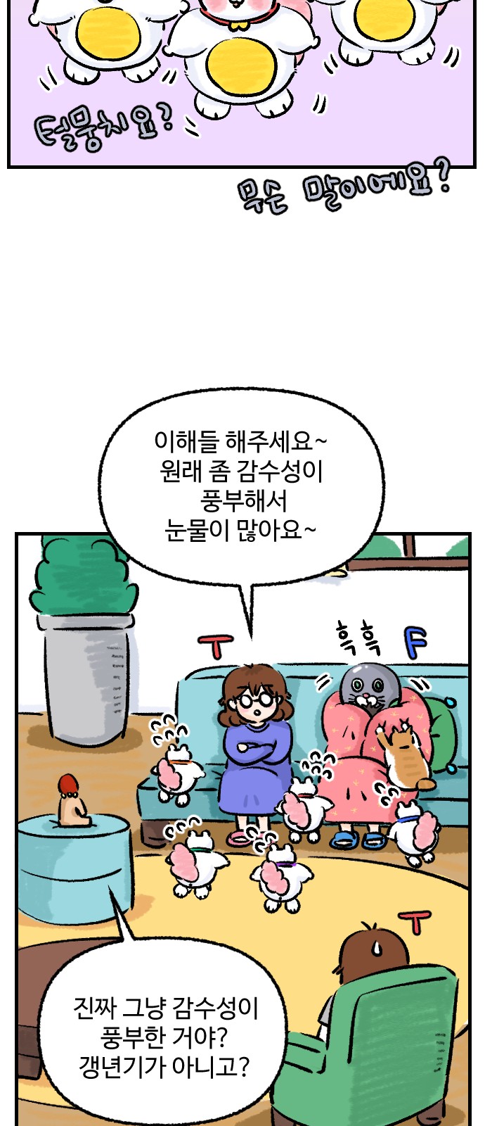 17 페이지