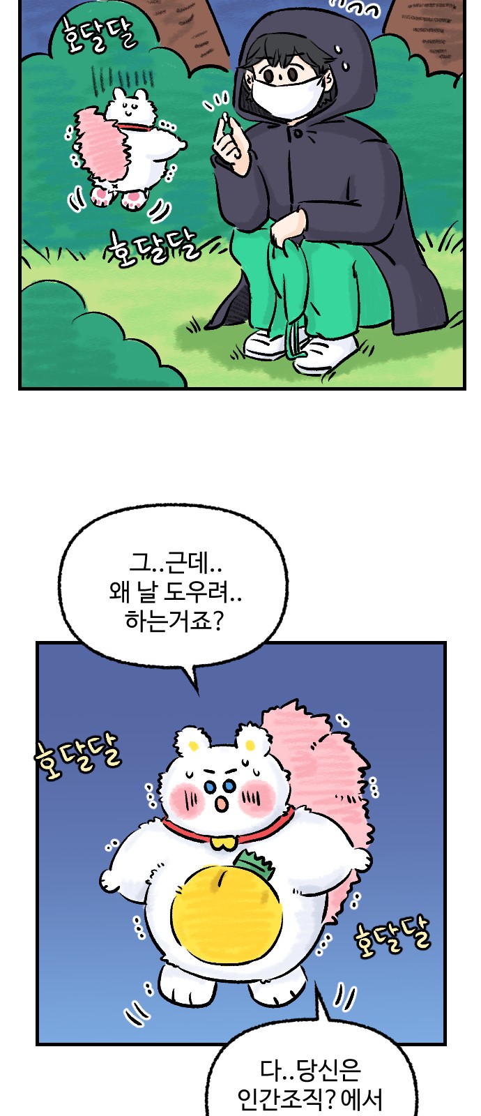 11 페이지