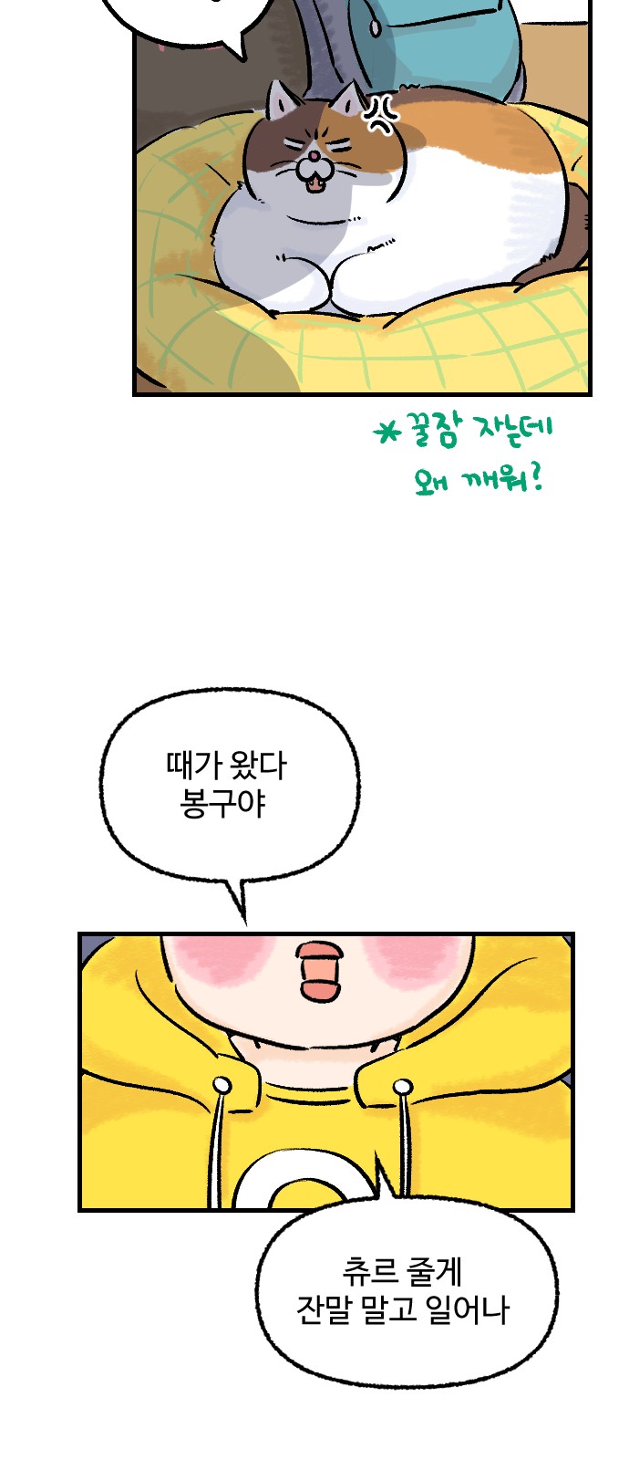 44 페이지