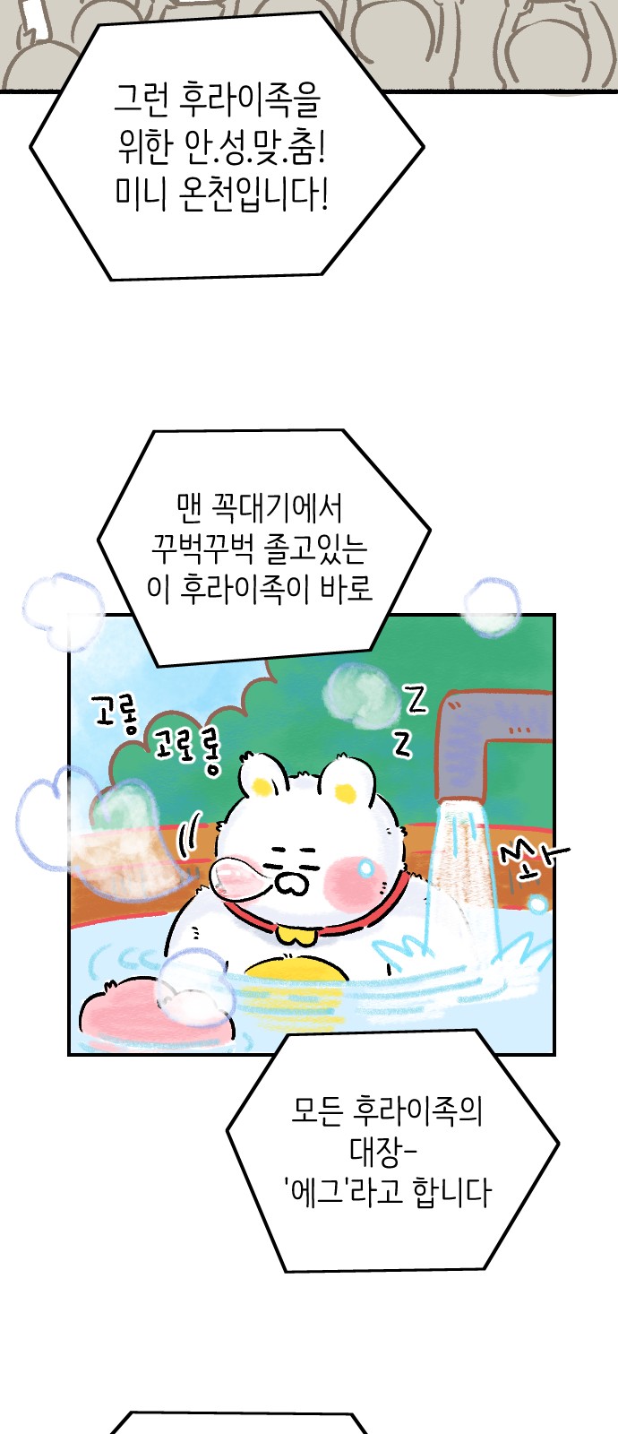 17 페이지