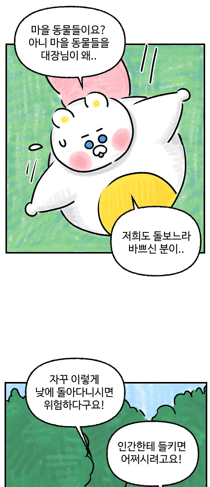 51 페이지