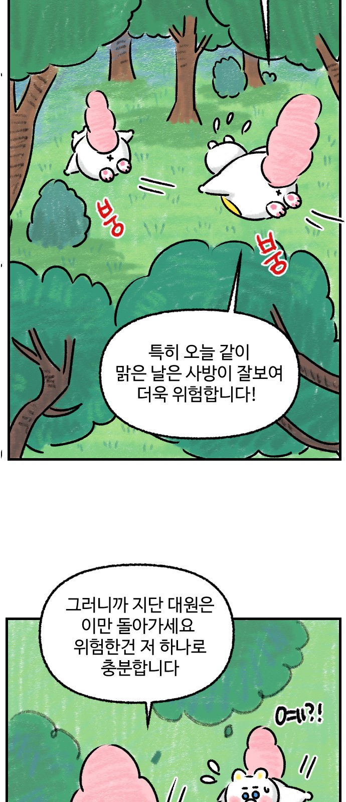 52 페이지