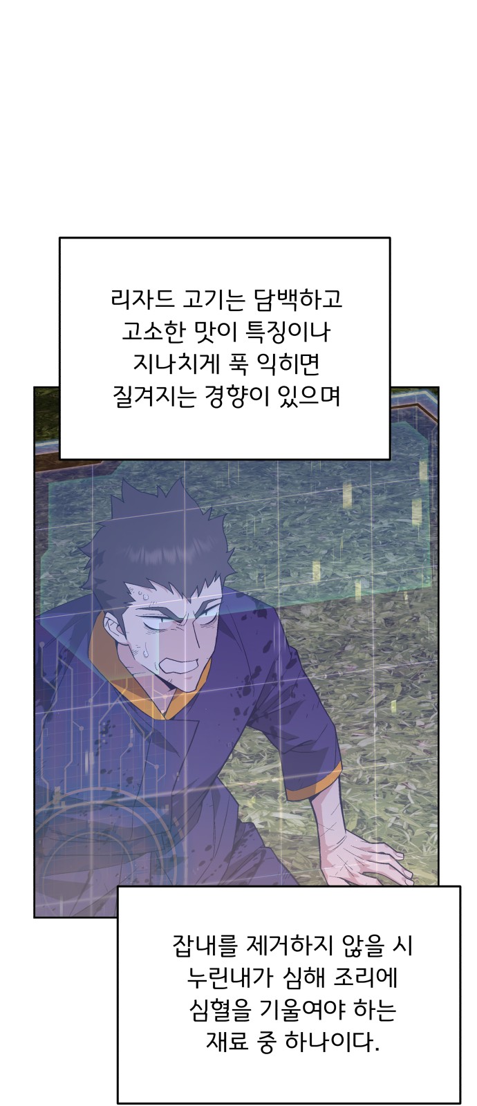 33 페이지